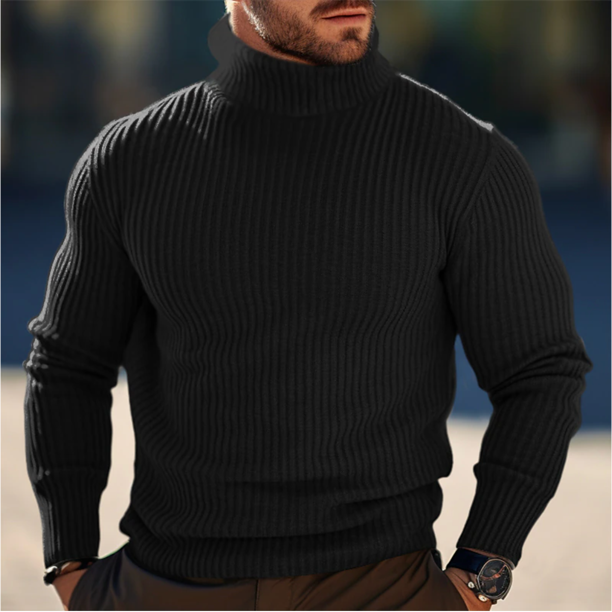 Scott | Herren Rollkragenpullover