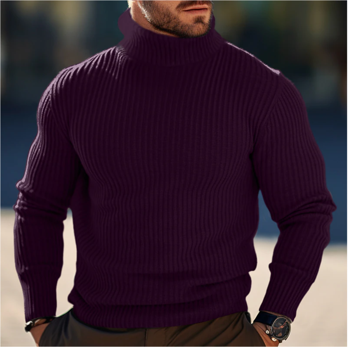 Scott | Herren Rollkragenpullover